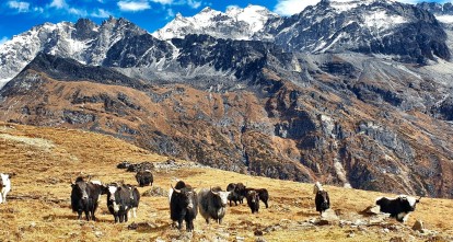 Langtang Ganaja La Pass